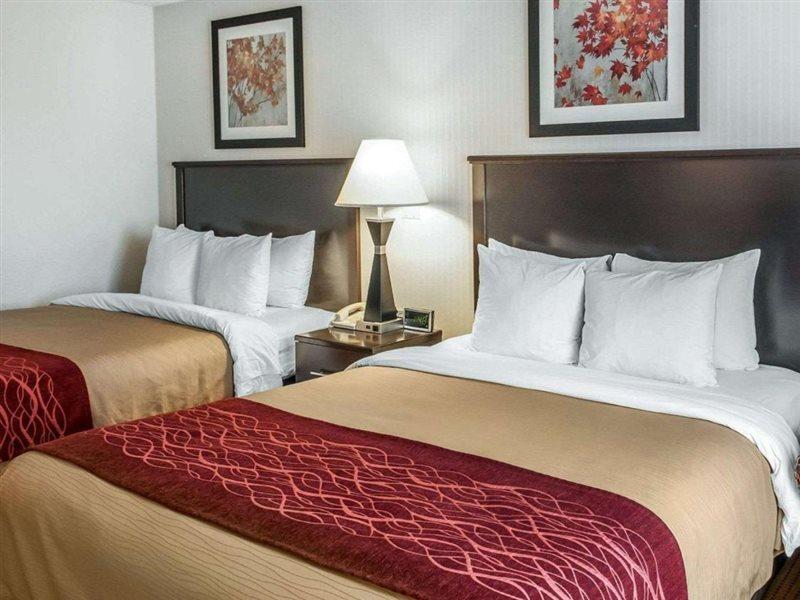 Hotel Quality &