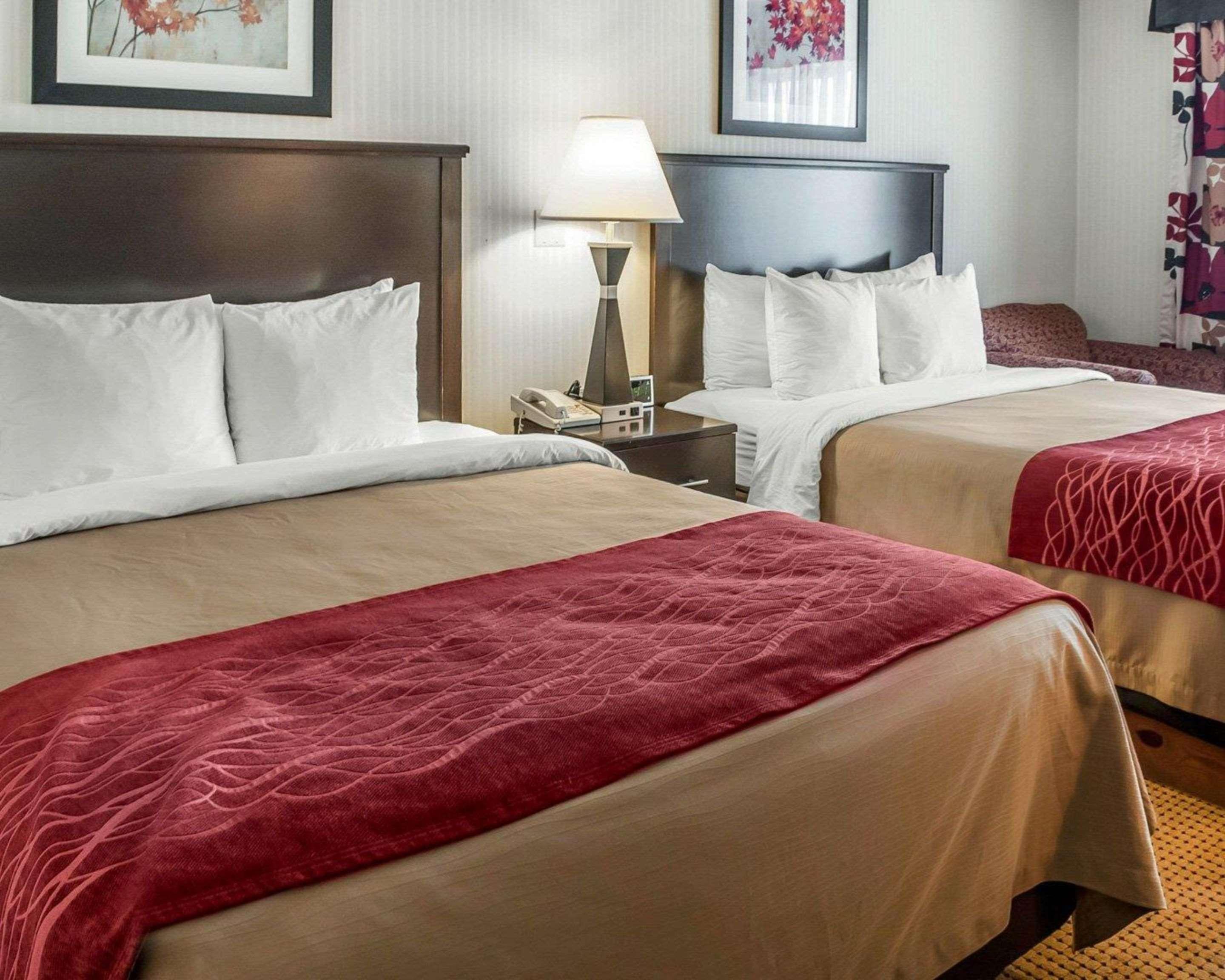 Quality & Hotel